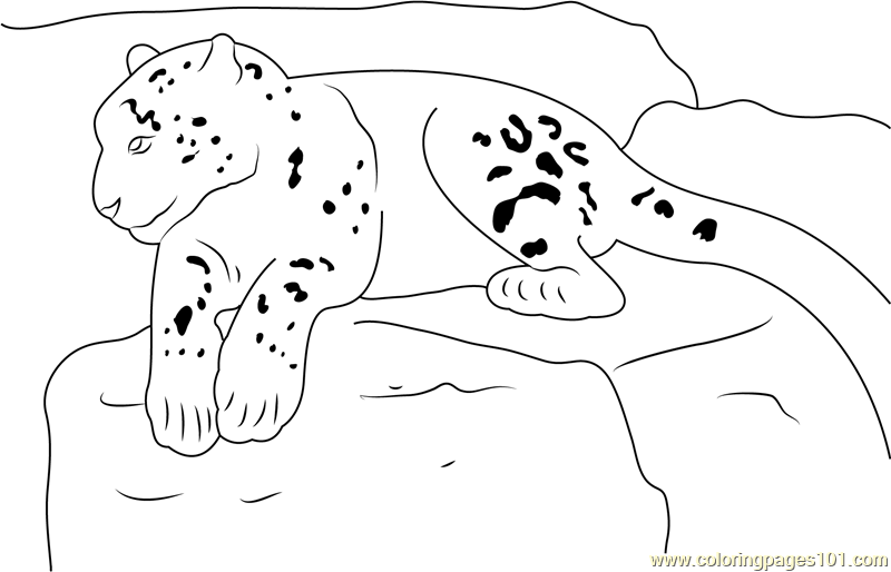 Snow Leopard Realxing Coloring Page for Kids - Free Snow Leopard