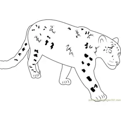 Beautiful Snow Leopard Free Coloring Page for Kids