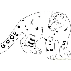 Smiling Snow Leopard Free Coloring Page for Kids