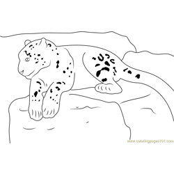 Snow Leopard Realxing Free Coloring Page for Kids