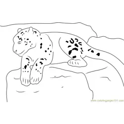 Snow Leopard Realxing Free Coloring Page for Kids