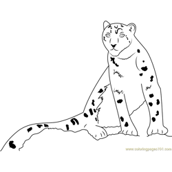 Snow Leopard Sitting Coloring Page for Kids - Free Snow Leopard