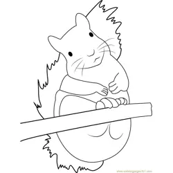 Adorable Squirrel Free Coloring Page for Kids