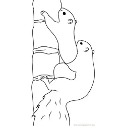 Eastern Gray Squirrel on Tree Free Coloring Page for Kids