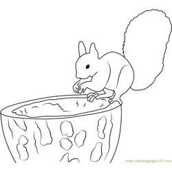 Forest Cute Squirrel Free Coloring Page for Kids