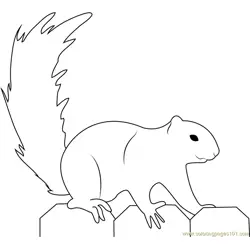 Fox Squirrel Free Coloring Page for Kids