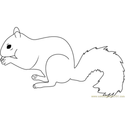 Grey squirrel Free Coloring Page for Kids