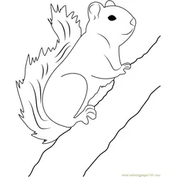Red Squirrel on Tree Free Coloring Page for Kids