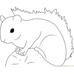 Red Squirrel Free Coloring Page for Kids