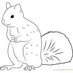 Squirrel Man Free Coloring Page for Kids