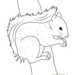 Squirrel Pose by Fantastic Fennec Free Coloring Page for Kids