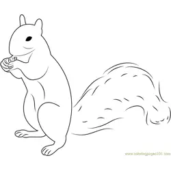 Squirrel Up Free Coloring Page for Kids