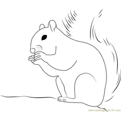 Squirrel Free Coloring Page for Kids