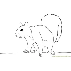 Stock Vault Squirrel Free Coloring Page for Kids