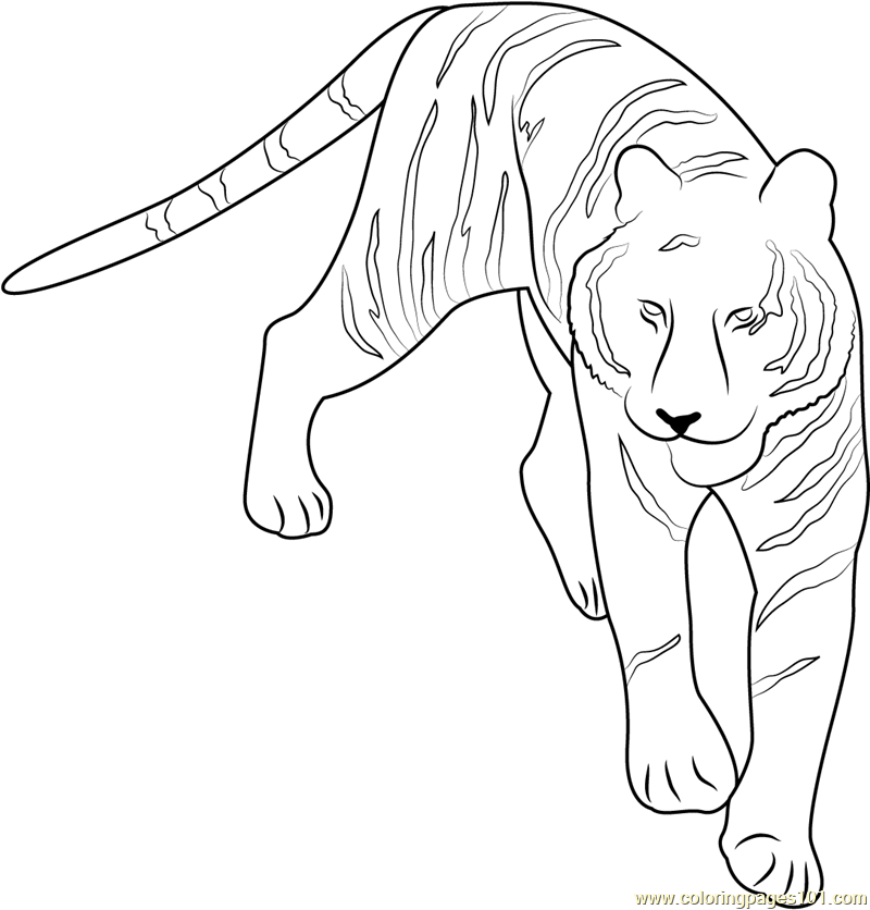 Tiger at See Coloring Page for Kids - Free Tiger Printable Coloring