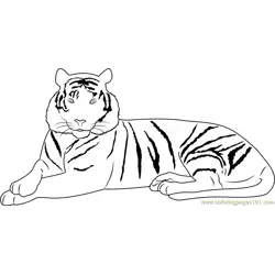 Elegant Tiger Free Coloring Page for Kids