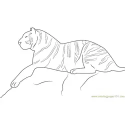 Royal Bengal Tiger Free Coloring Page for Kids
