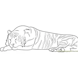 Sleeping Tiger Free Coloring Page for Kids