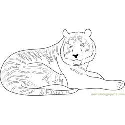 Tiger Look at Me Free Coloring Page for Kids