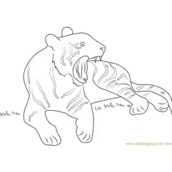 Tiger Yawn Full Free Coloring Page for Kids