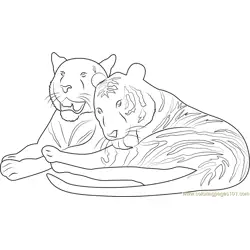 Tiger in Love Free Coloring Page for Kids