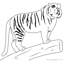 Tiger on Wood Free Coloring Page for Kids