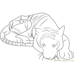 Tiger Free Coloring Page for Kids