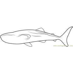 Black Patch Whale Free Coloring Page for Kids