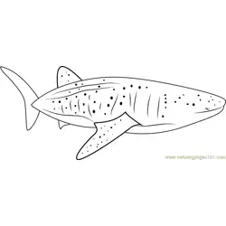 Blue Whale Free Coloring Page for Kids