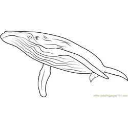 Endless Ocean Whales Free Coloring Page for Kids