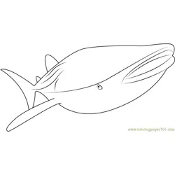 Smooth Whale Free Coloring Page for Kids