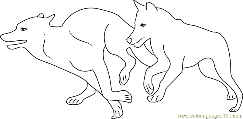 Two Wolves Running Coloring Page for Kids - Free Wolf Printable