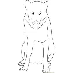 Gray Wolf in Minnesota Free Coloring Page for Kids