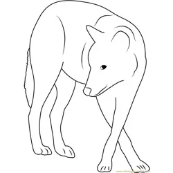 Grey Wolf Free Coloring Page for Kids