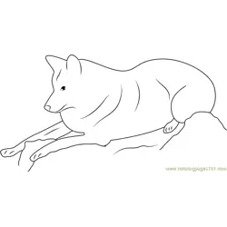 Himalayan Wolf Relaxing Free Coloring Page for Kids