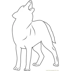 Indian Wolf Free Coloring Page for Kids