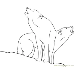 Two Wolf Free Coloring Page for Kids
