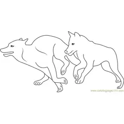 Two Wolves Running