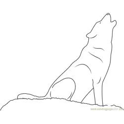 Wolf Howling Coloring Page