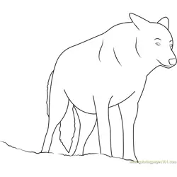 Wolf Look Free Coloring Page for Kids