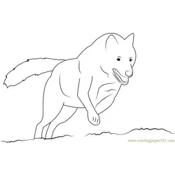 Wolf On Hunting Free Coloring Page for Kids