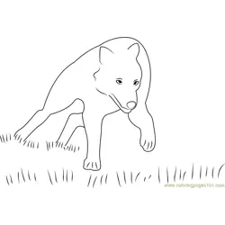Wolf Running in Grass Free Coloring Page for Kids