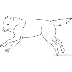 Wolf Running on the Pond Free Coloring Page for Kids