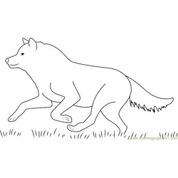 Wolf Running Free Coloring Page for Kids