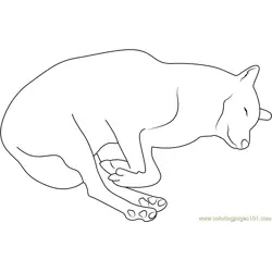 Wolf Sleeping Free Coloring Page for Kids