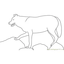 Wolf Standing On Rock Free Coloring Page for Kids