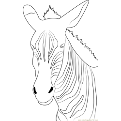 Angry Zebra Free Coloring Page for Kids