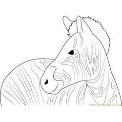 Black and White Zebra Free Coloring Page for Kids