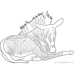 Grévy's Zebra Thinking Free Coloring Page for Kids