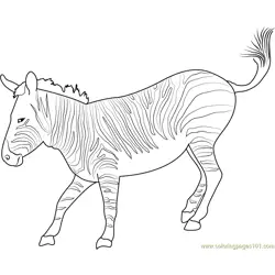 Mountain Zebra Free Coloring Page for Kids
